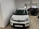 fiat-panda-1-0-firefly-s-s-hybrid-city-life