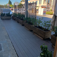 Dehors esterno per ristoranti