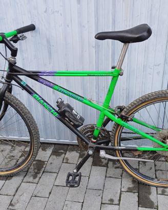 Bianchi Thomosus Ragno