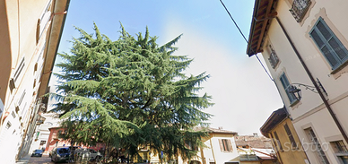 Open Space Luino con Spese Cond. Comprese