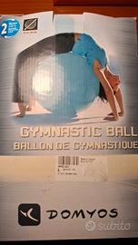 palla da ginnastica 