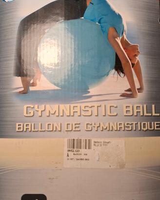 palla da ginnastica 