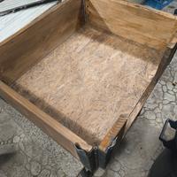 cuccia 