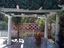 Immagine 26