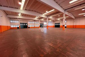 MULTILOCALE A CASALOLDO