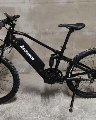 E bike