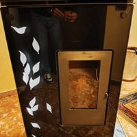 Stufa a Pellet Eva Calor mod Asia