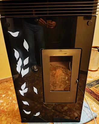 Stufa a Pellet Eva Calor mod Asia