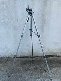 Treppiede