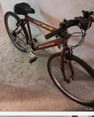 Bici montai bike