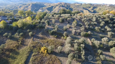 Terreno agricolo edificabile