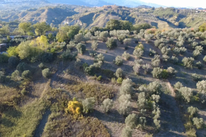 Terreno agricolo edificabile