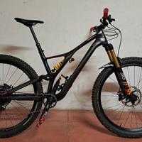 specialized stumpjumper 29 carbon