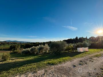Terreno Agricolo 6.000m2 con uliveto, vigneto