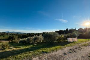 Terreno Agricolo 6.000m2 con uliveto, vigneto