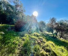 TER. AGRICOLO A SANREMO