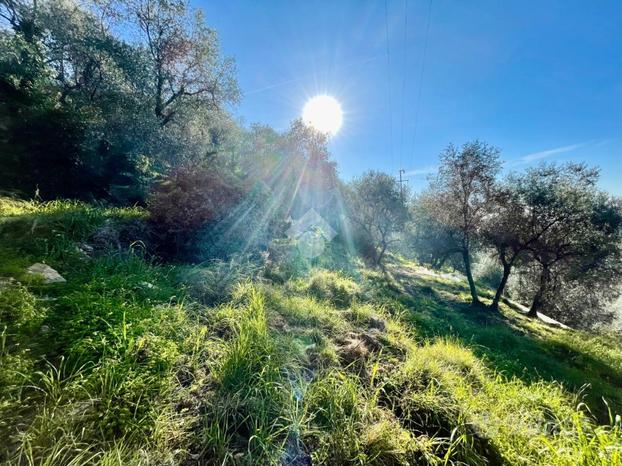 TER. AGRICOLO A SANREMO