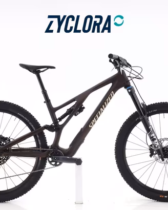 Specialized Stumpjumper Evo GX t.L