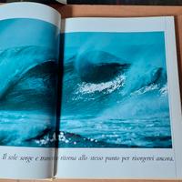 Libri fotografici grande formato Erwin Fieger