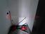 Immagine 26
