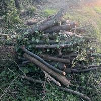 Legna da ardere da 1 metro