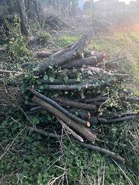 Legna da ardere da 1 metro