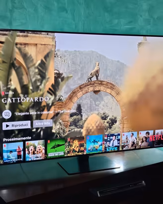 Samsung Neo Qled 55 "Uhd 4k QE55QN90 
