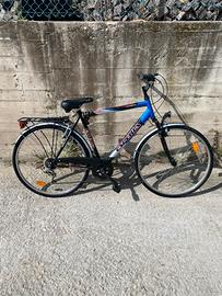 Bicicletta ESPERIA Wonderful TRIS Beverly 6500