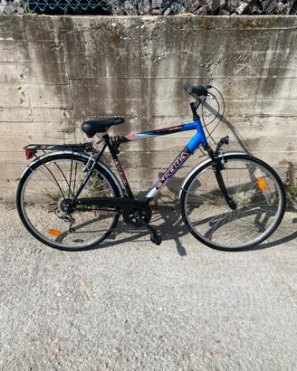 Bicicletta ESPERIA Wonderful TRIS Beverly 6500