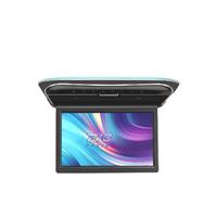 SCHERMO PER TETTO FULL HD DA 11,6"