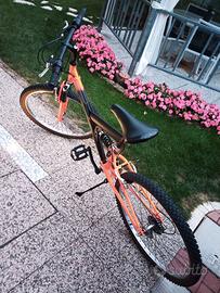 MOUNTAIN BIKE