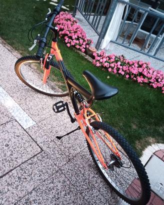 MOUNTAIN BIKE