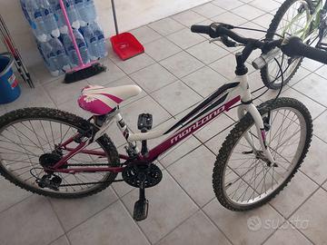 Mountain bike