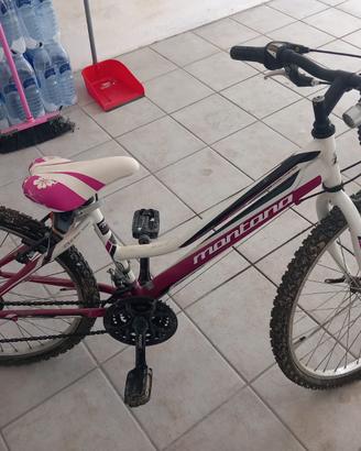 Mountain bike
