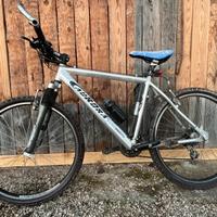 Mtb Aurora