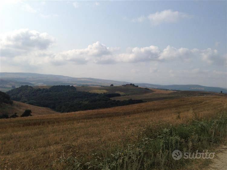 Terreno di 42340 m² a Tuscania - Vista 4
