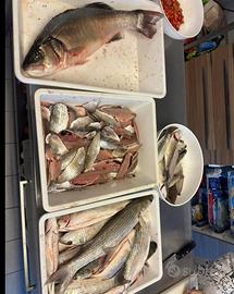 Quota capanno da pesca