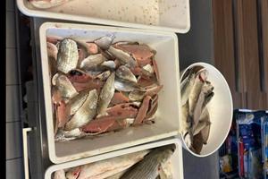 Quota capanno da pesca