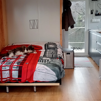 Houseboat barca monolocale