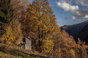 Rustico Antronapiana