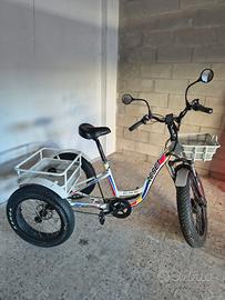Triciclo Elettrico RST Transporter 750W 3 Ruote Ca