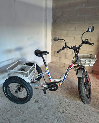 Triciclo Elettrico RST Transporter 750W 3 Ruote Ca
