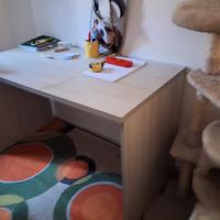 Scrivania 60x120