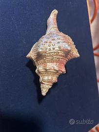 Elegante portagioie