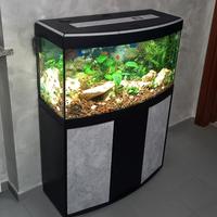 acquario 150 litri vetro curvo