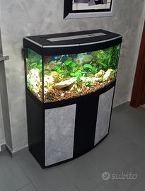 acquario 150 litri vetro curvo