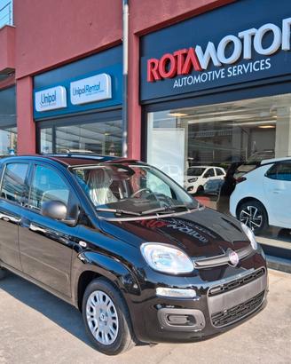Fiat Panda Pandina 1.0 FireFly 65 CV Hybrid Icon
