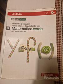 libro Matematica verde