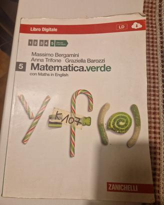 libro Matematica verde