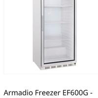 freezer colonna